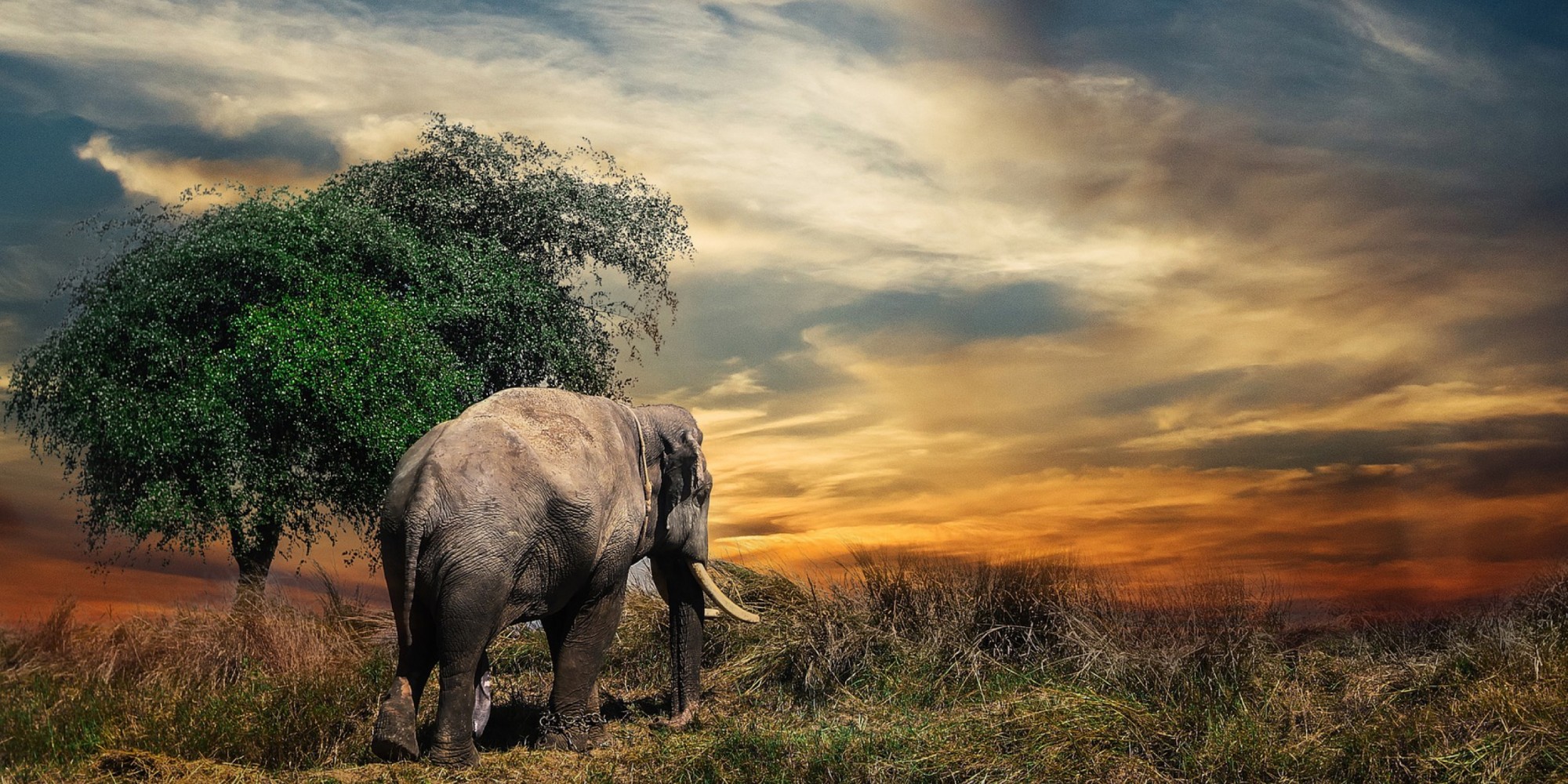 Why tiered enterprise archiving is the killer app for Hadoop