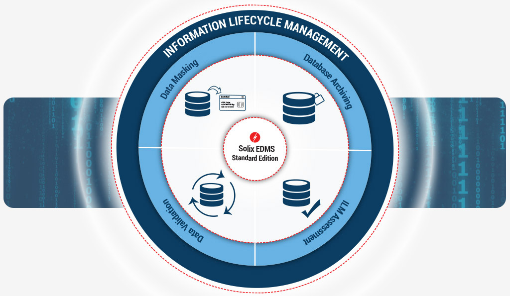 Solix Enterprise Data Management Suite - Standard Edition